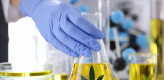 “กัญชา” รักษามะเร็ง รพ. พญาไท นวมินทร์ชูจุดเด่นดูแลครบวงจร กัญชารักษามะเร็ง