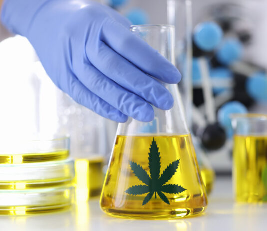 “กัญชา” รักษามะเร็ง รพ. พญาไท นวมินทร์ชูจุดเด่นดูแลครบวงจร กัญชารักษามะเร็ง