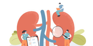 3 วิธี การดูแลรักษาไตง่ายๆ ด้วยการเลือกอาหาร การดูแลรักษาไต