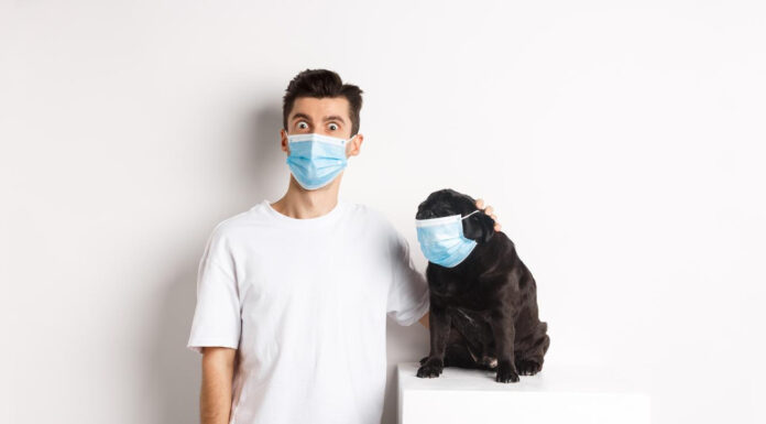 โรคเกี่ยวกับสัตว์เลี้ยงที่ต้องระวังในปี 2568 โรคเกี่ยวกับสัตว์เลี้ยงที่ต้องระวังในปี 2568