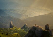 การใช้ Vitapex ในการรักษาโรคปากและเพดานล่าง Photo vitapex