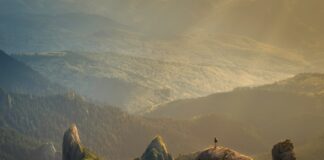 การใช้ Vitapex ในการรักษาโรคปากและเพดานล่าง Photo vitapex