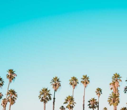 ประโยชน์ของ ajona ยาสีฟัน Photo ajona toothpaste