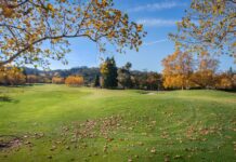 บทความ: การดูแลฟันเด็กด้วย kidsdental Photo kidsdental