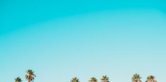 คลินิกทันตกรรม: คำแนะนำเบื้องต้นสำหรับการดูแลฟัน Photo dentalclinic