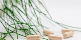 อัลมอนด์ สารอาหาร: ประโยชน์และคุณค่าทางโภชนาการ Photo supplements