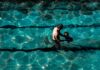 เด็กเรียน ว่ายน้ำ: สุขภาพและพัฒนาการของเด็ก Photo child learning swimming