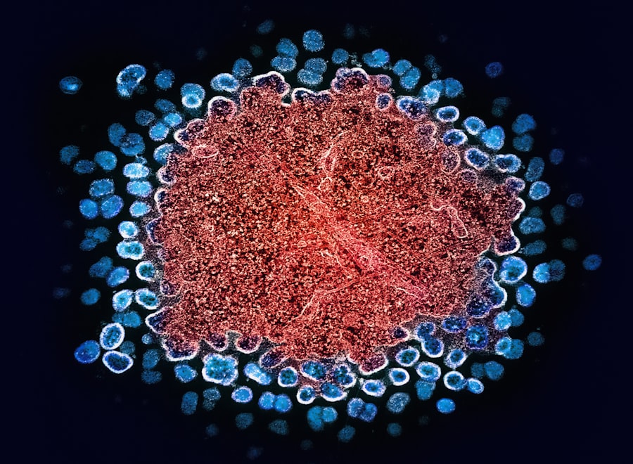 Adenovirus