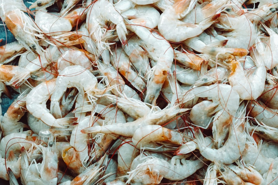 Shrimp drying